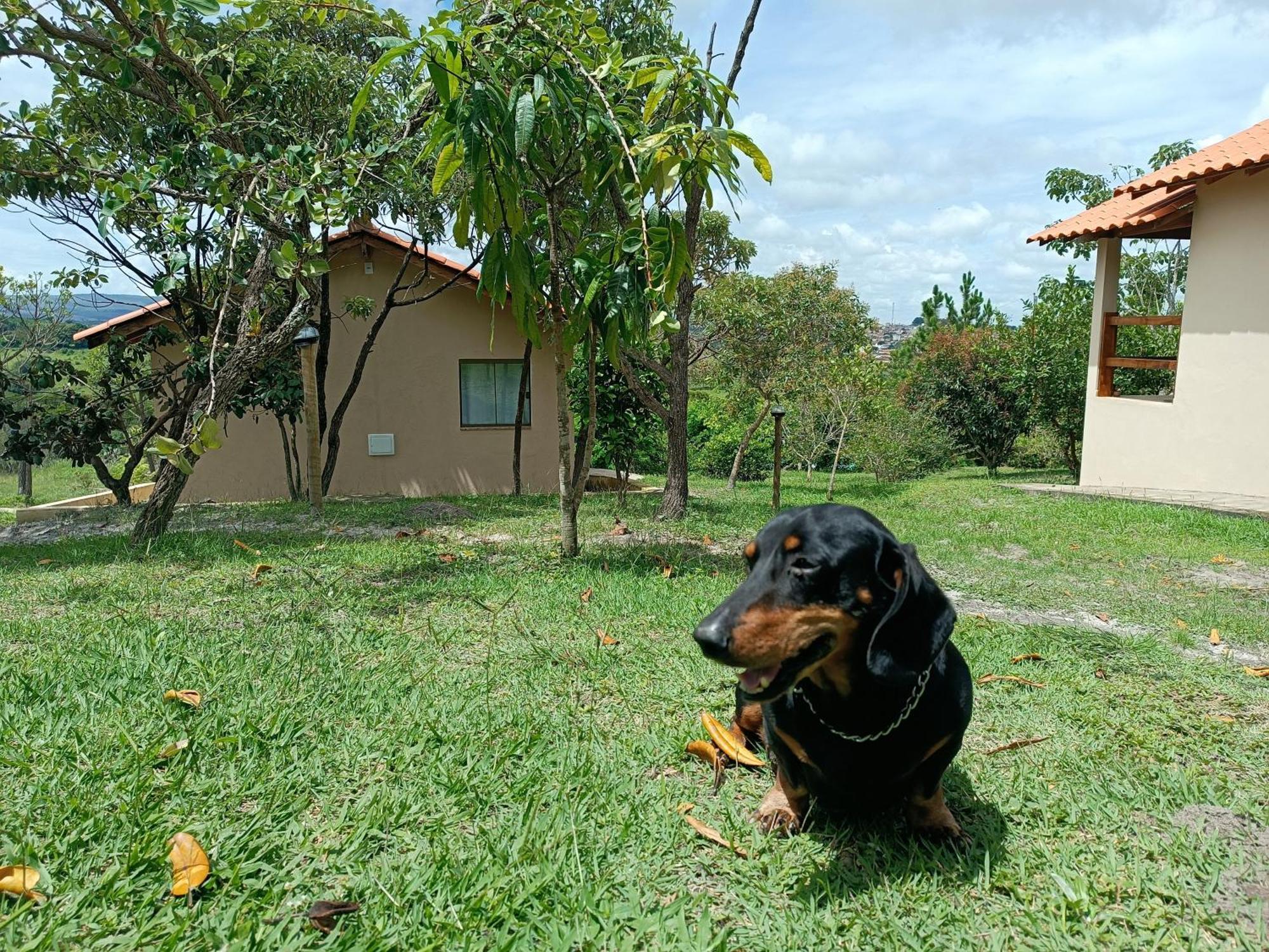 Lodge Toca Dos Coelhos *